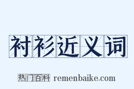 衬衫近义词是什么意思的图片